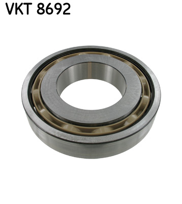 guolis, neautomatinė transmisija - VKT 8692 SKF